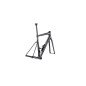 BMC - Teammachine SLR 01 Frameset - Lightweight Carbon BMC - Teammachine SLR 01 Frameset - Lightweight Carbon